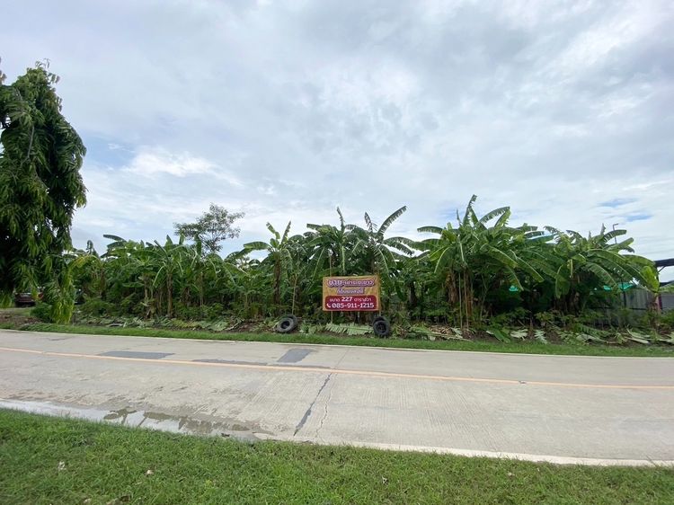 ขายที่ดินแปลงสวย เจ้าของขายเอง 227 ตรว. อ.บางใหญ่ จ.นนทบุรี