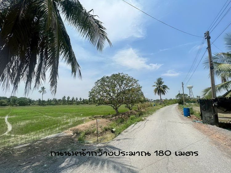 ที่ดินเปล่า10ไร่แบ่งได้5ไร่