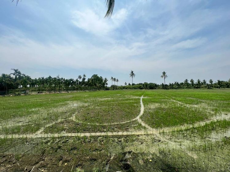 ที่ดินเปล่า10ไร่แบ่งได้5ไร่ รูปที่ 2