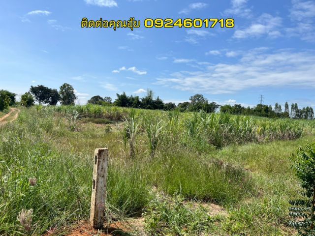 ใช่ ขายที่ดินเปล่า 6.5 ไร่  ติดทางหลวง 229  ช่องสามหมอ-อ.มัญจาคีรี หน้ากว้าง 168 เมตร  รูปที่ 4