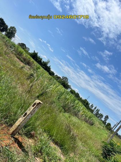 ใช่ ขายที่ดินเปล่า 6.5 ไร่  ติดทางหลวง 229  ช่องสามหมอ-อ.มัญจาคีรี หน้ากว้าง 168 เมตร  รูปที่ 2