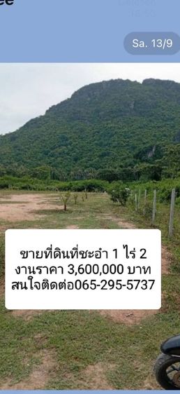 ขายที่ดิน รูปที่ 3