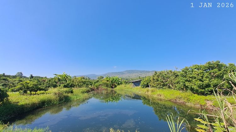 ห่างถนนสี่เลนส์เพียง 900 เมตร เจ้าของขายเองสวนลำไยพร้อมบ่อปลาวิวภูเขา