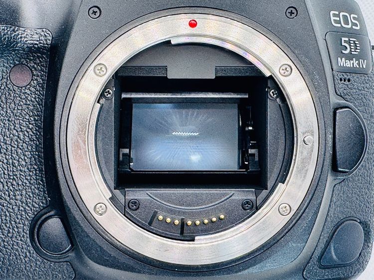 กล้อง Canon EOS 5D Mark IV สภาพนางฟ้า ชัตเตอร์ 13,xxx รูปที่ 15