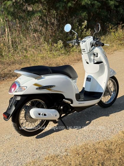 Scoopy i Prestige งามกริ๊ป รถปี62(2019) ดาวน์เพียง 6900 ไม่ค้ำ ผ่อนสบายๆ จร้า รูปที่ 4