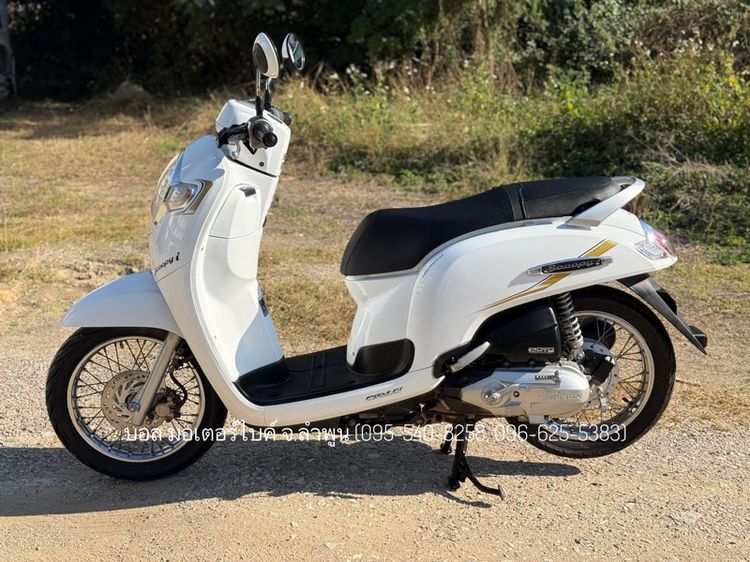 Honda Scoopy i Prestige งามกริ๊ป รถปี62(2019) ดาวน์เพียง 6900 ไม่ค้ำ ผ่อนสบายๆ จร้า