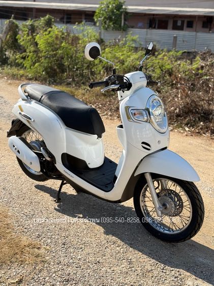 Scoopy i Prestige งามกริ๊ป รถปี62(2019) ดาวน์เพียง 6900 ไม่ค้ำ ผ่อนสบายๆ จร้า รูปที่ 4