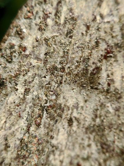 พระร่วงหลังรางปืน กรุวัดพระศรีรัตนมหาธาตุ อ.ศรีสัชนาลัย จ.สุโขทัย รูปที่ 9