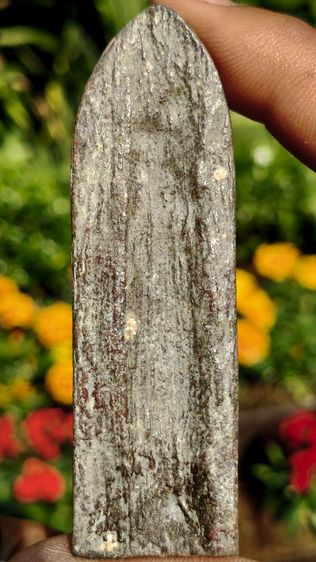 พระร่วงหลังรางปืน กรุวัดพระศรีรัตนมหาธาตุ อ.ศรีสัชนาลัย จ.สุโขทัย รูปที่ 4