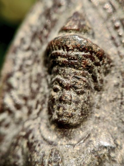 พระร่วงหลังรางปืน กรุวัดพระศรีรัตนมหาธาตุ อำเภอศรีสัชนาลัย จังหวัดสุโขทัย