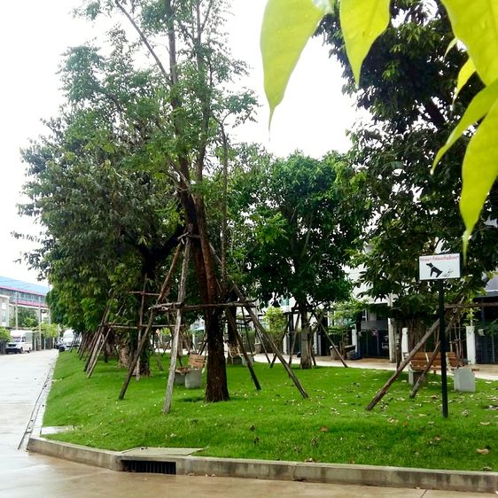 Prinsiri มีบางส่วน 2017 ขายทาวน์โฮมคุณภาพ รูปที่ 3