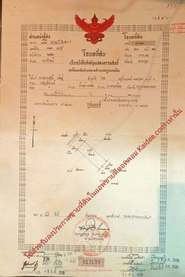 ขายถูก ขายด่วน ขายเร็ว ที่ดินราคาถูกทำเลดี อยู่ใกล้ชุมชน ถมแล้ว ปลูกผลไม้ไว้ให้ด้วย