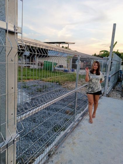 ใช่ ขายถูก ขายด่วน ขายเร็ว ที่ดินราคาถูกทำเลดี อยู่ใกล้ชุมชน ถมแล้ว ปลูกผลไม้ไว้ให้ด้วย รูปที่ 4