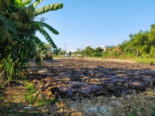 ขายถูก ขายด่วน ขายเร็ว ที่ดินราคาถูกทำเลดี อยู่ใกล้ชุมชน ถมแล้ว ปลูกผลไม้ไว้ให้ด้วย