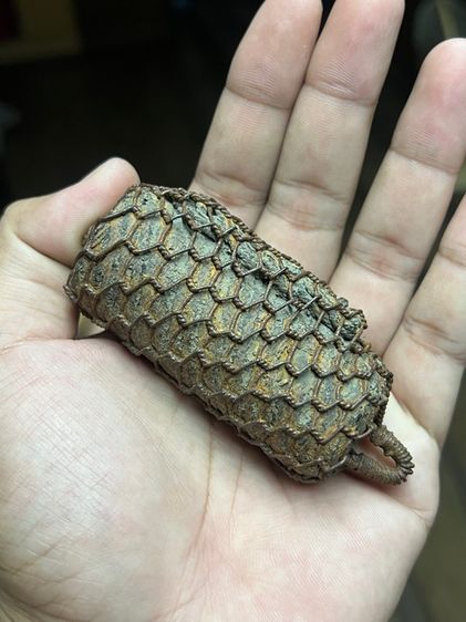 เปิดตะกรุดไม้ครูดอกใหญ่อ้วนๆ เลี่ยมลวด(มีสินค้าหลายรายการกดเข้ามาดูในโปรไฟล์ได้เลยครับ) รูปที่ 2