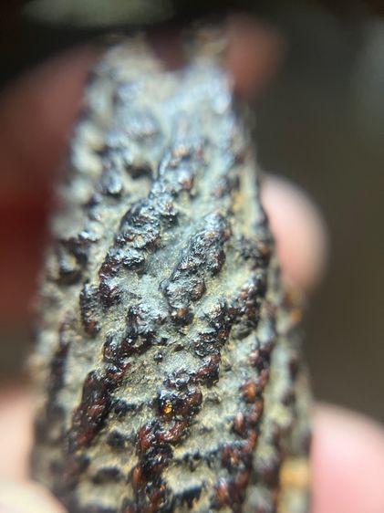 ลูกอม ไม่ทราบที่(มีสินค้าหลายรายการกดเข้ามาดูในโปรไฟล์ได้เลยครับ) รูปที่ 5