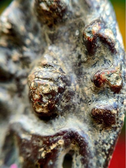 พระนาคปรก กรุวัดพระศรีรัตนมหาธาตุ ลพบุรี สนิมแดง  รูปที่ 4