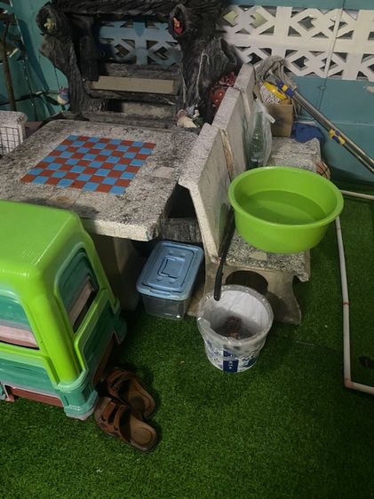 ม้าหินนั่งสบายใจ