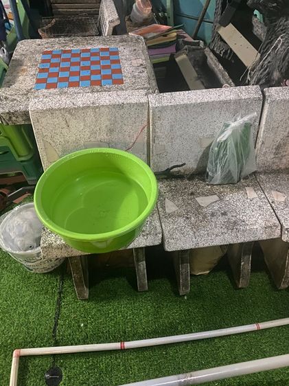 ม้าหินนั่งสบายใจ รูปที่ 2