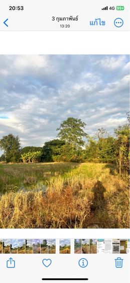 ขายที่นา