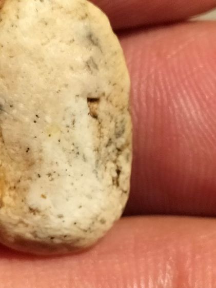 พระวัดพลับ พิมเลกครับ 0618296529 รูปที่ 3