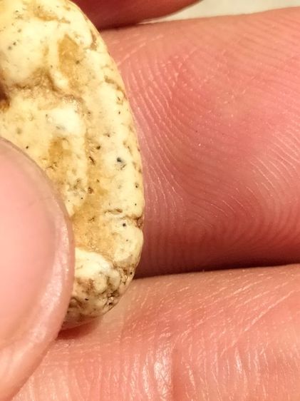 พระวัดพลับ พิมเลกครับ 0618296529 รูปที่ 2