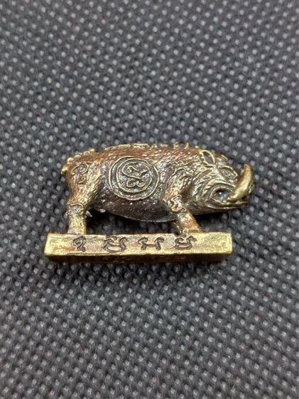 หมูสุริยคราส หลวงปู่แผ้ว ปวโร ปี 2551 วัดรางหมัน รูปที่ 4