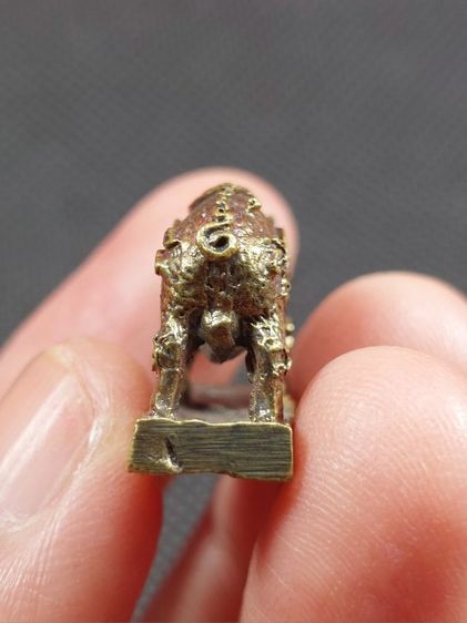 หมูสุริยคราส หลวงปู่แผ้ว ปวโร ปี 2551 วัดรางหมัน รูปที่ 5