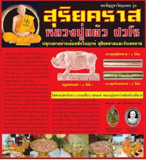 หมูสุริยคราส หลวงปู่แผ้ว ปวโร ปี 2551 วัดรางหมัน รูปที่ 6