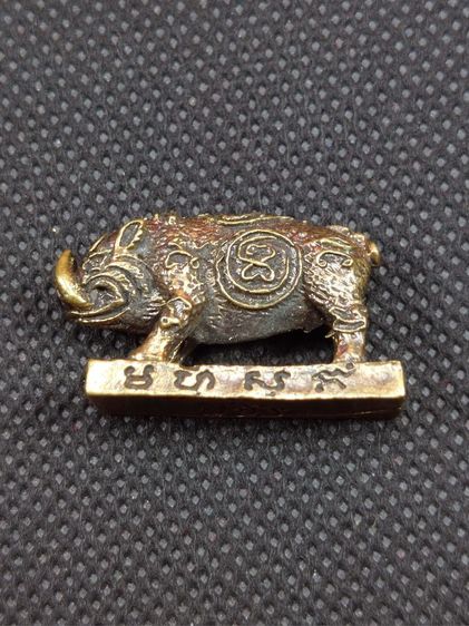 หมูสุริยคราส หลวงปู่แผ้ว ปวโร ปี 2551 วัดรางหมัน