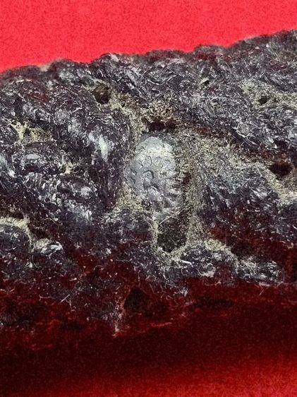 ตระกรุดโทนคงทน(เชือดคอไก่) หลวงปู่แผ้ว ปวโร ปี 2550 วัดกําแพงแสน รูปที่ 2