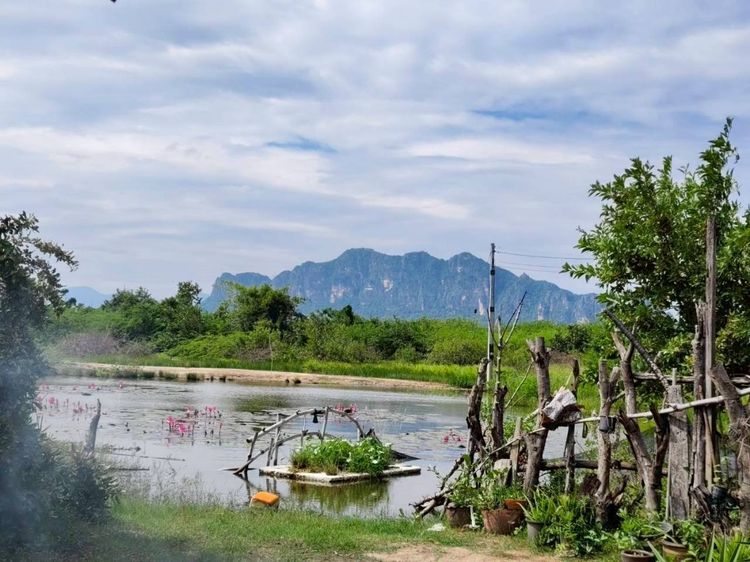 ขายที่ 12 ไร่ 32 ตรว ไร่ละ 1.5 ล้าน อ.ชะอำ ใกล้ชายหาด รูปที่ 4