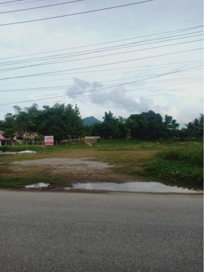 ขายที่ดินติดแม่น้ำโขง เชียงคาน 10 ไร่ ขาย 10 ล้านบาท ต่ำกว่าตลาด รูปที่ 2