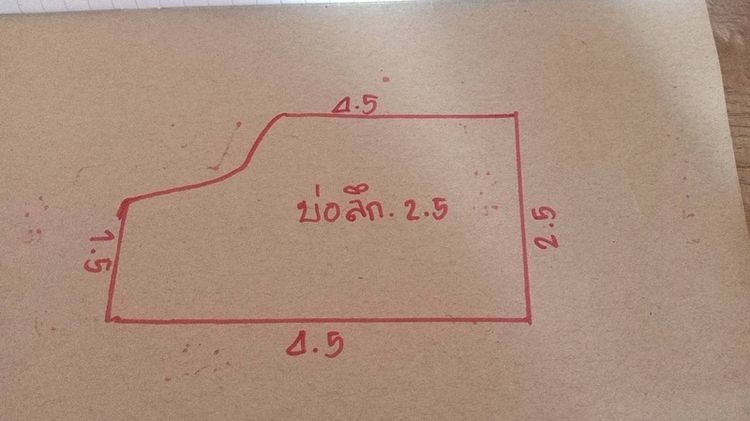 ขายที่ดินติดแม่น้ำโขง เชียงคาน 10 ไร่ ขาย 10 ล้านบาท ต่ำกว่าตลาด รูปที่ 4