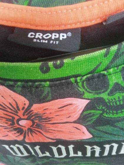 เสื้อ t shirt แบรนด์ croop คุณภาพสูงจาก poland รูปที่ 3