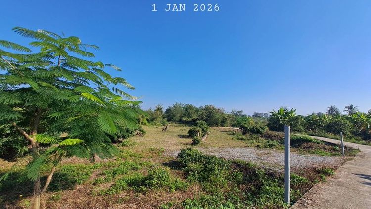 ไม่ใช่ แบ่งขายสวนลำไยแปลงเล็ก เหมาะทำบ้านสวน บ้านพักตากอากาศ ใกล้แมคโครโลตัสจอมทอง รูปที่ 2