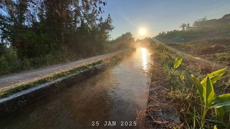 ไม่ใช่ แบ่งขายสวนลำไยแปลงเล็ก เหมาะทำบ้านสวน บ้านพักตากอากาศ ใกล้แมคโครโลตัสจอมทอง