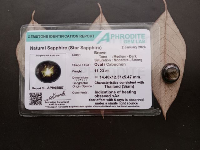 พลอยแบล็คสตาร์แซฟไฟร์สยาม(เผาเก่า) 11.23 กะรัต