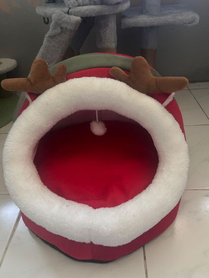 ที่นอนแมว