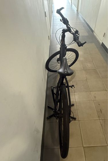 จักรยานเสือ รูปที่ 2