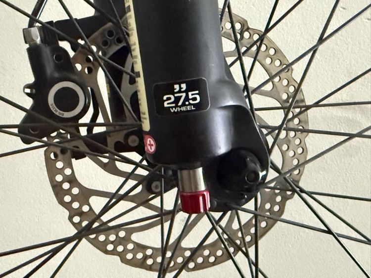 จักรยานเสือ รูปที่ 4