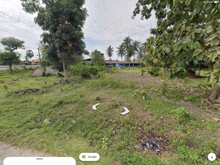 ส่งต่อที่ดินทำเลหายาก เชื่อมต่อวิถี Organic แท้ ด้านหลังติดหมู่บ้านผักปลอดสาร ใกล้แหล่งท่องเที่ยว เหมาะทำตลาดแนว Eco รูปที่ 4