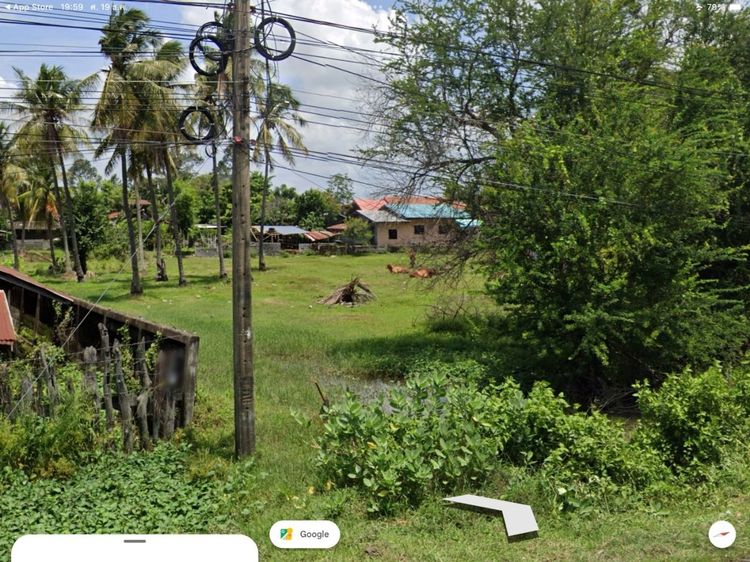 ส่งต่อที่ดินทำเลหายาก เชื่อมต่อวิถี Organic แท้ ด้านหลังติดหมู่บ้านผักปลอดสาร ใกล้แหล่งท่องเที่ยว เหมาะทำตลาดแนว Eco รูปที่ 2