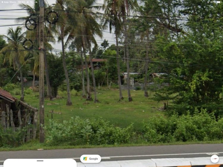 ส่งต่อที่ดินทำเลหายาก เชื่อมต่อวิถี Organic แท้ ด้านหลังติดหมู่บ้านผักปลอดสาร ใกล้แหล่งท่องเที่ยว เหมาะทำตลาดแนว Eco รูปที่ 3