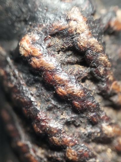 ตะกรุดลงรักถัดเชือกครับ1นิ้ว รูปที่ 13