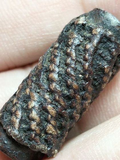 ตะกรุดลงรักถัดเชือกครับ1นิ้ว