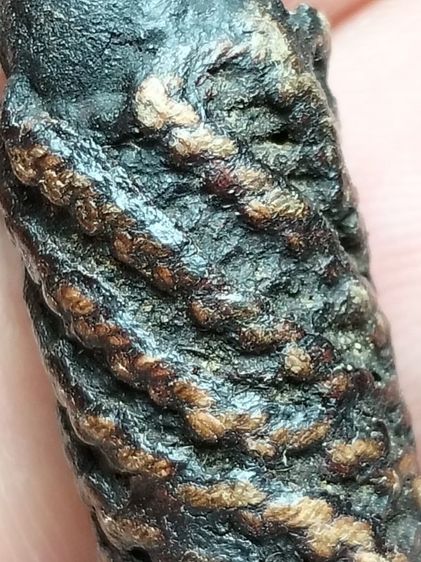 ตะกรุดลงรักถัดเชือกครับ1นิ้ว รูปที่ 8