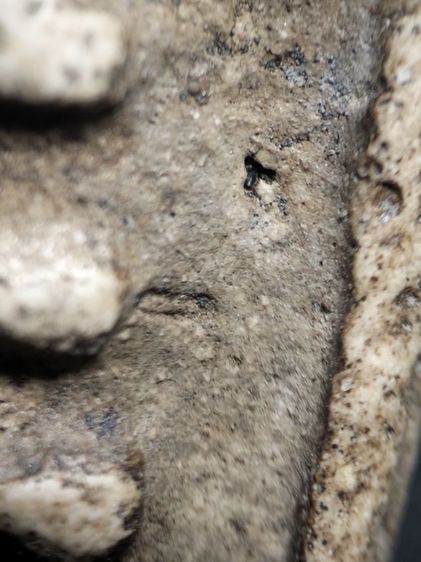 ❌ปิดครับ❌พนะสมเด็จครับ รูปที่ 8