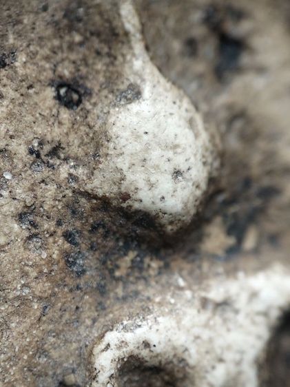 ❌ปิดครับ❌พนะสมเด็จครับ รูปที่ 5