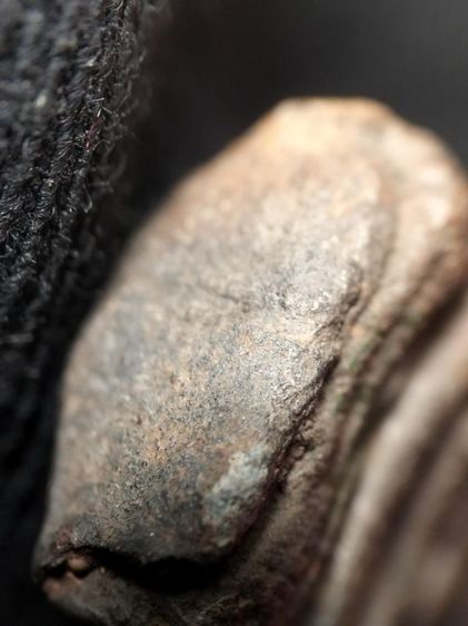 ❌ติดจอง❌พระรอดลำพูนเนื้อโทนเขียวครับ รูปที่ 18